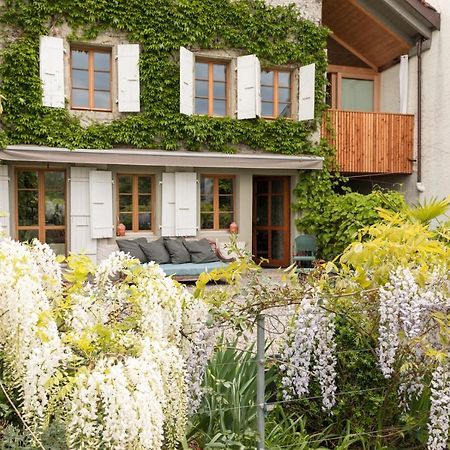 Wonderlandscape Guest House Le Grand Saconnex Экстерьер фото
